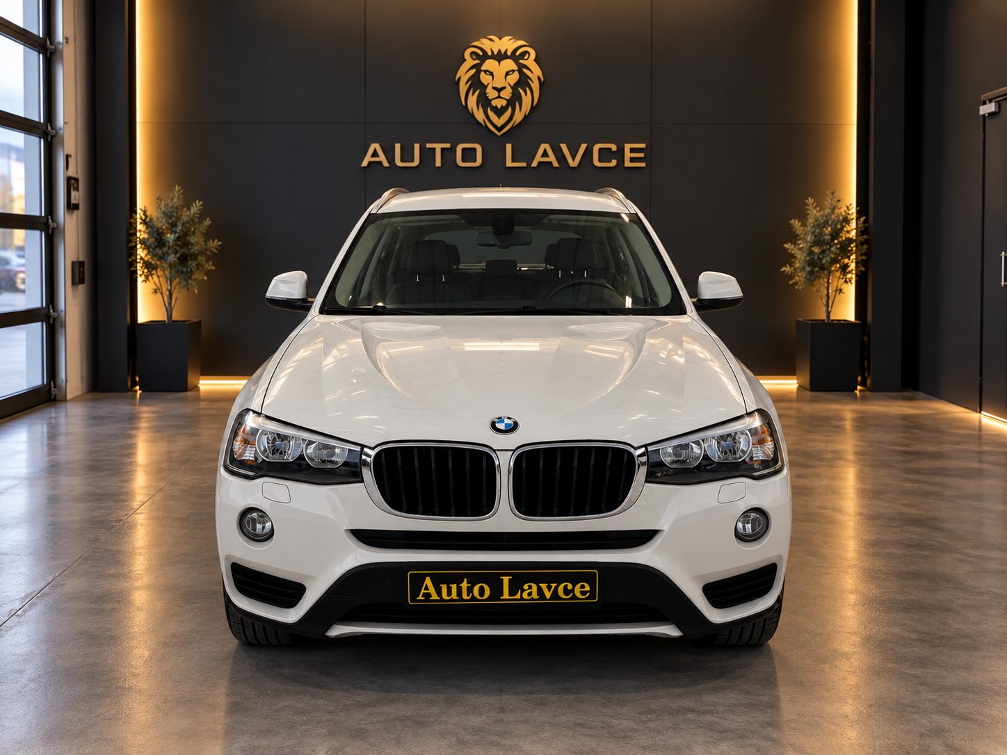 BMW X3 2.0d 2014